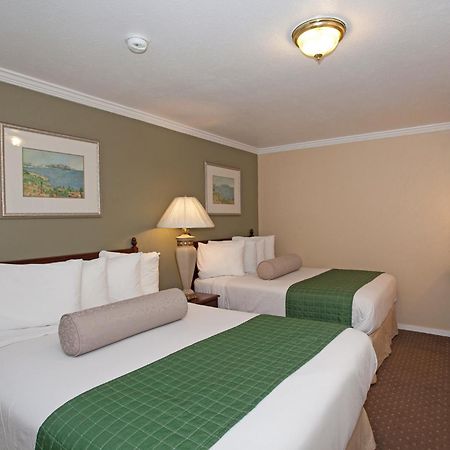 Traveler'S Inn Williams, Ca Modern Renovated Hotel Room photo